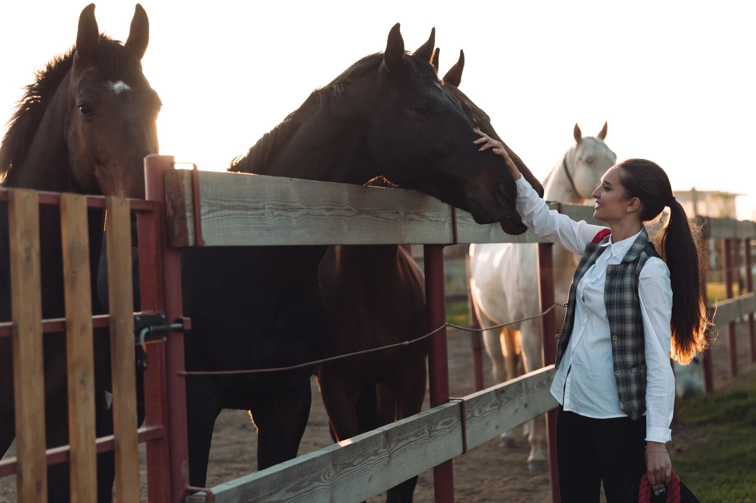 Mujer con caballo en el rancho